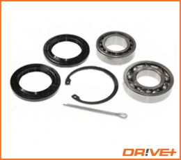 Wheel Bearing Kit DP2010.10.0207