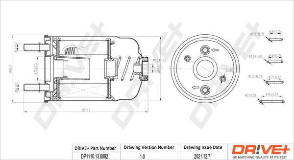 Fuel Filter DP1110.13.0082
