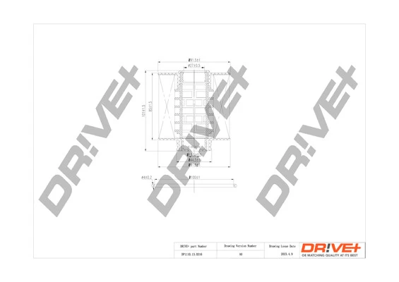 Fuel Filter DP1110.13.0316