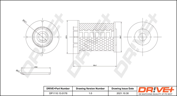 Fuel Filter DP1110.13.0176