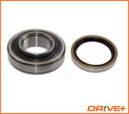 Wheel Bearing Kit DP2010.10.0400
