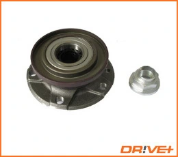 Wheel Bearing Kit DP2010.10.0589