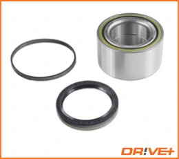 Wheel Bearing Kit DP2010.10.0173