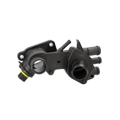 Thermostat, coolant DP2310.14.0678