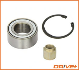 Wheel Bearing Kit DP2010.10.0114