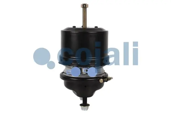 Spring-loaded Cylinder 2251510