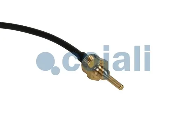 Sensor, coolant temperature 2264029