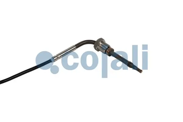 Sensor, exhaust gas temperature 2262016