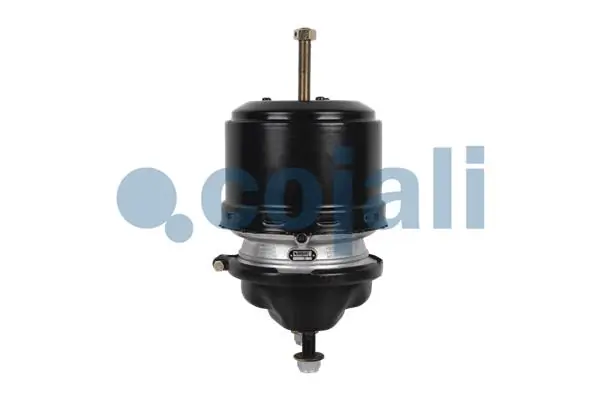 Spring-loaded Cylinder 2251536