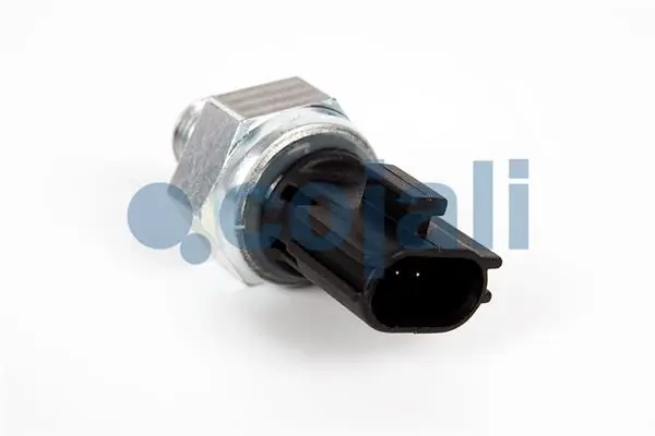 Sensor 2263001
