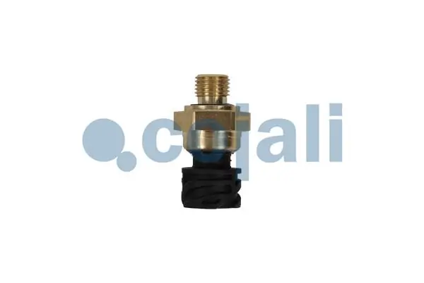Sensor, oil pressure 2262032