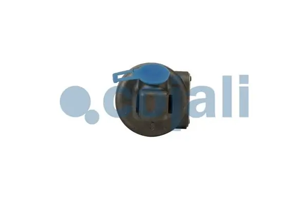 Slave Cylinder 2201301