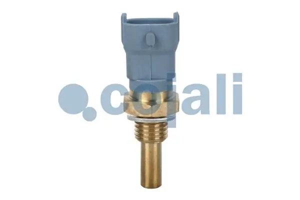 Sensor, coolant temperature 2260409