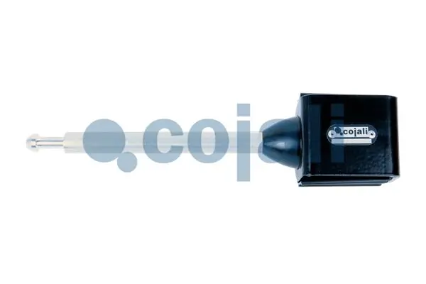 Bodi suspensi, suspensi udara 6002218