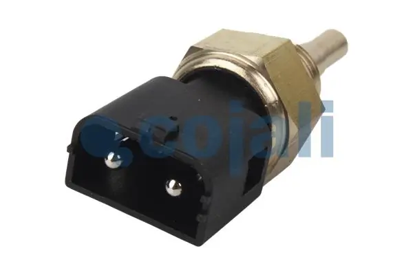 Sensor 2260223