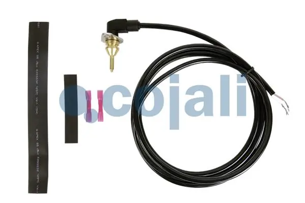 Sensor, coolant temperature 2260470