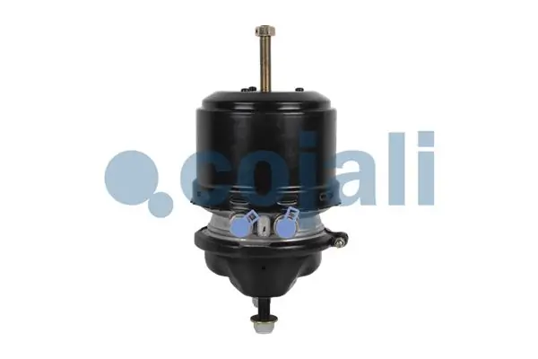 Spring-loaded Cylinder 2251536