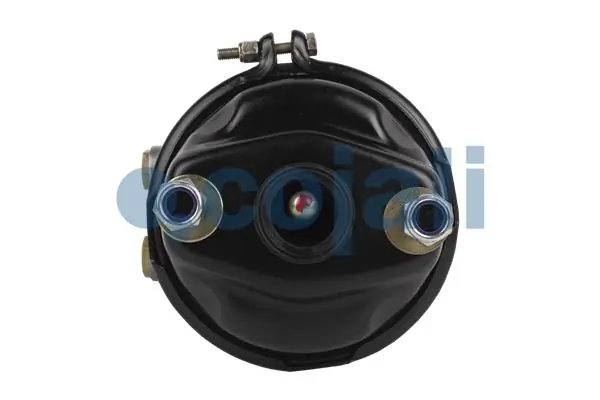 Spring-loaded Cylinder 2251536