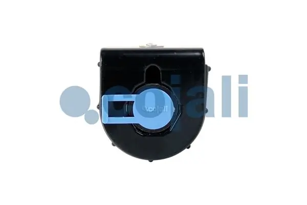 Suspension Strut, air suspension 6002219