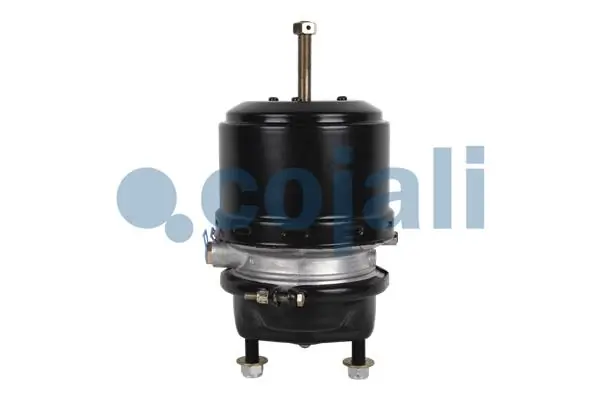 Spring-loaded Cylinder 2251536