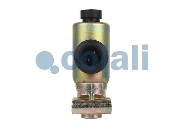 Solenoid Valve 2218206