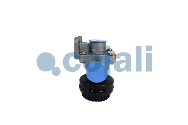 Quick Release Valve 2221213