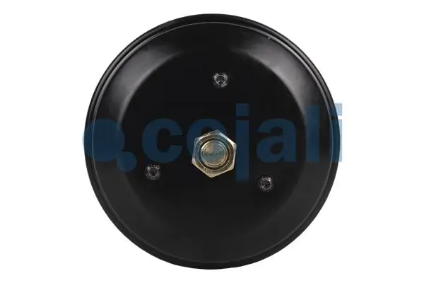 Spring-loaded Cylinder 2251536