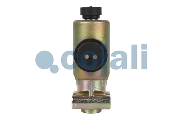 Solenoid Valve 2218205