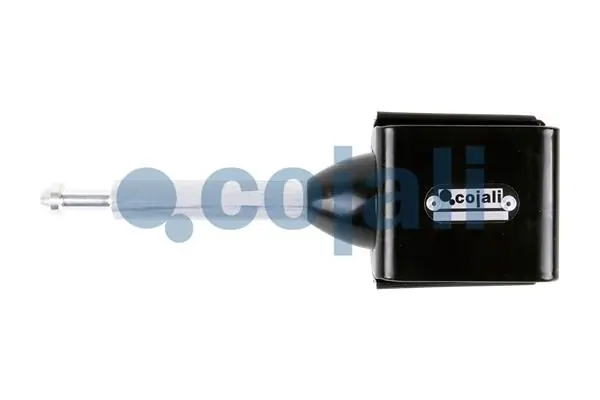 Suspension Strut, air suspension 6002219