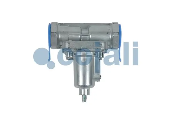 Overflow Valve 2206167