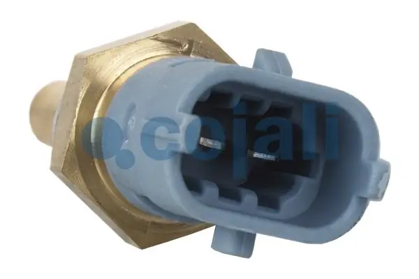 Sensor, coolant temperature 2260409