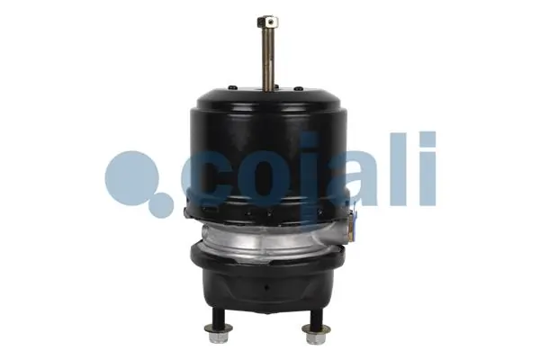 Spring-loaded Cylinder 2251536