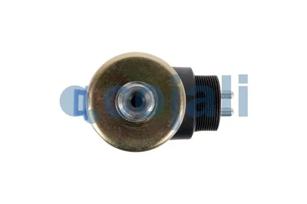 Solenoid Valve 2218221