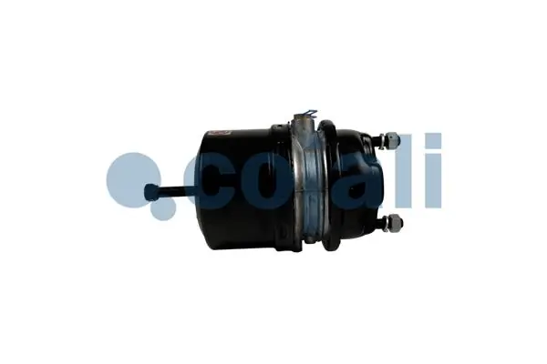Spring-loaded Cylinder 2251563
