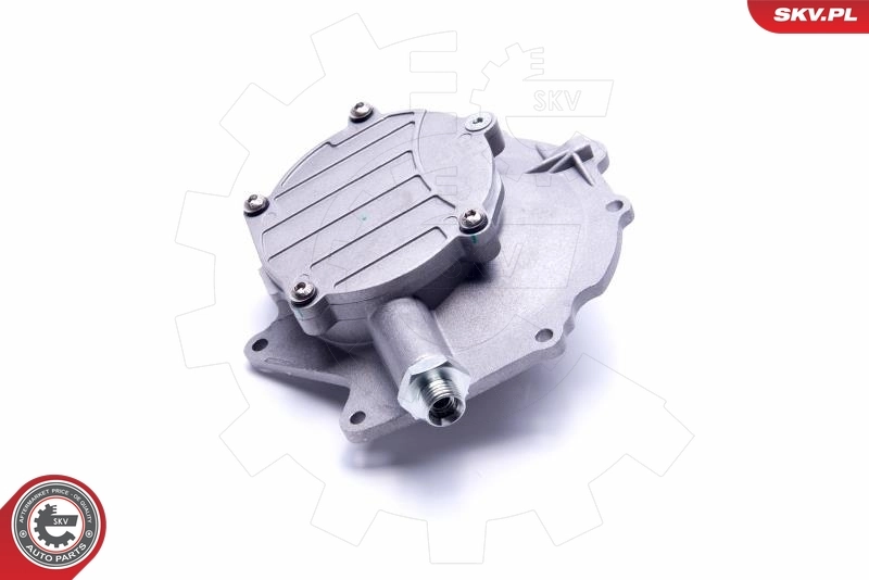 ESEN SKV 18SKV029 Vacuum Pump, braking system