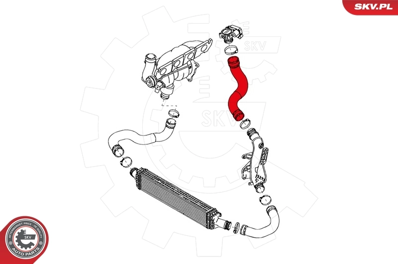 Charge Air Hose 24SKV122