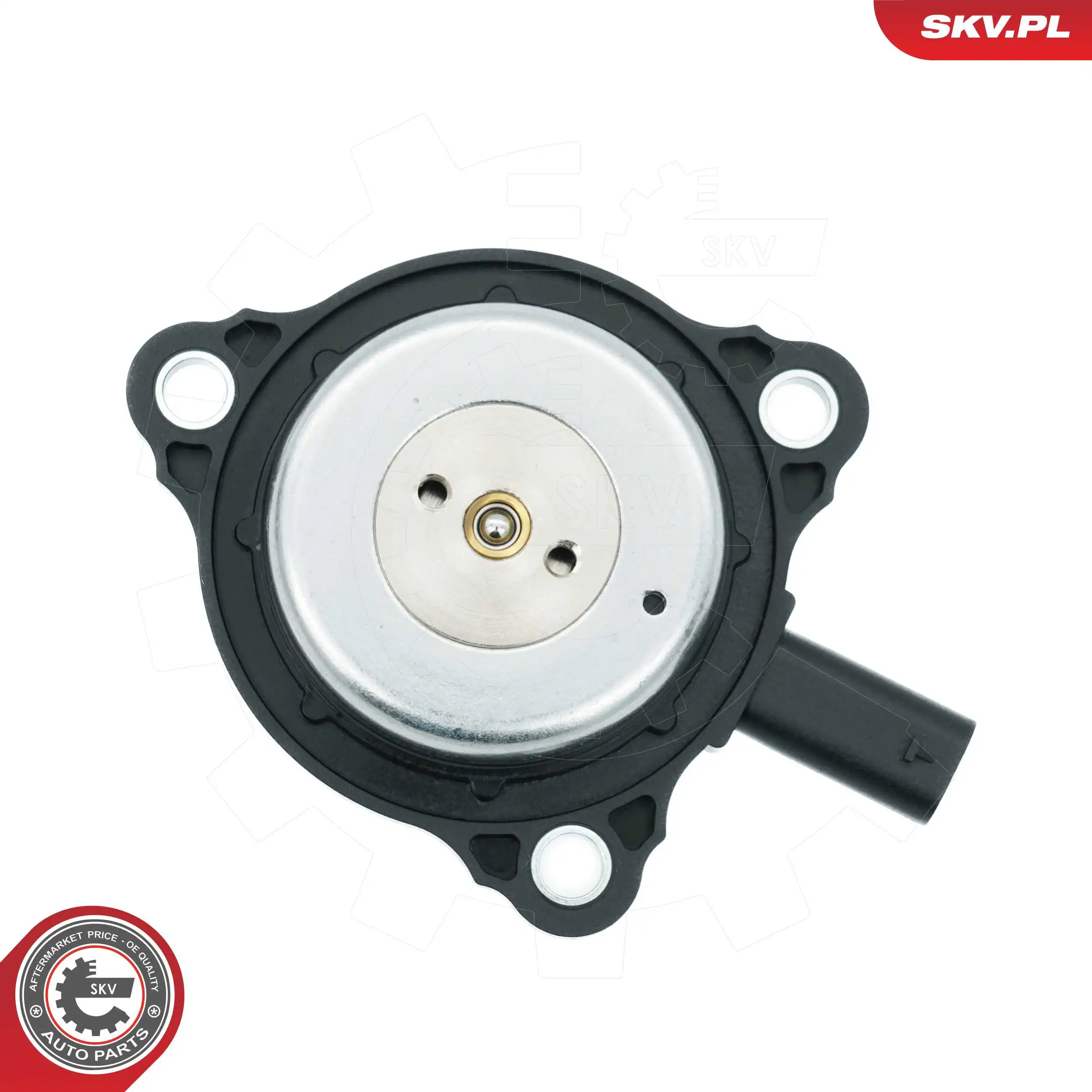 Central Magnet, camshaft adjustment 39SKV905