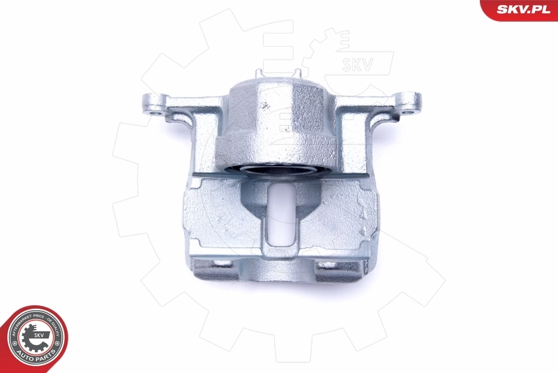Brake Caliper 46SKV242