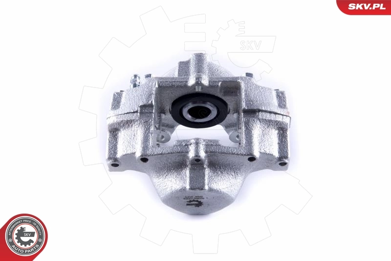 Brake Caliper 55SKV223