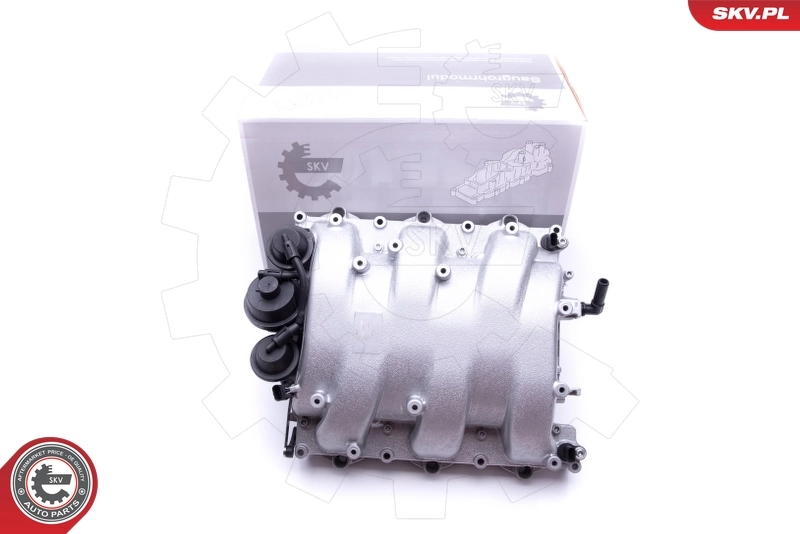 Intake Manifold Module 49SKV013