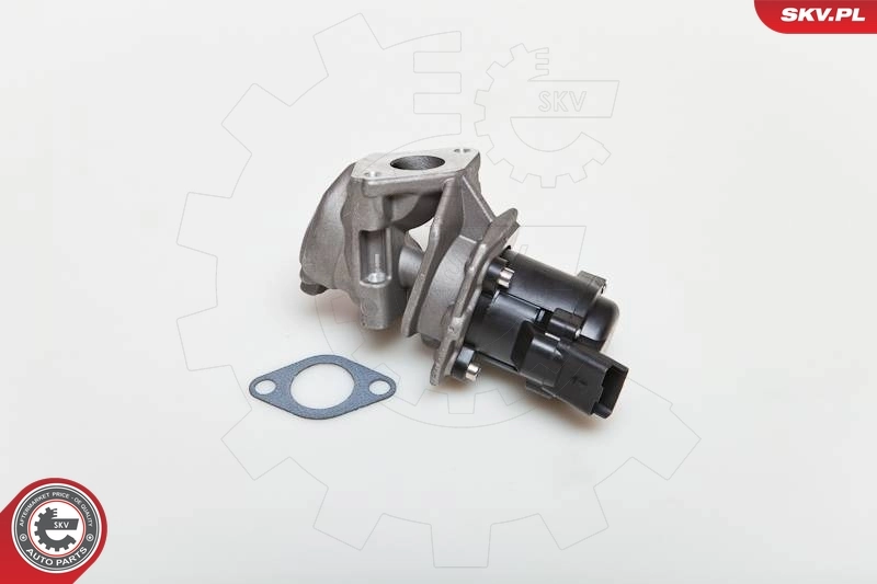 EGR Valve 14SKV028