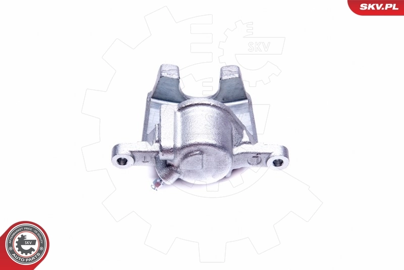 Brake Caliper 42SKV793