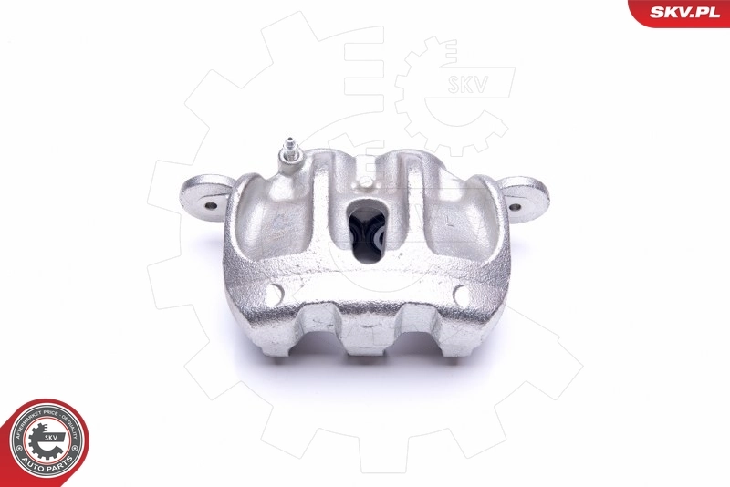 Brake Caliper 45SKV551