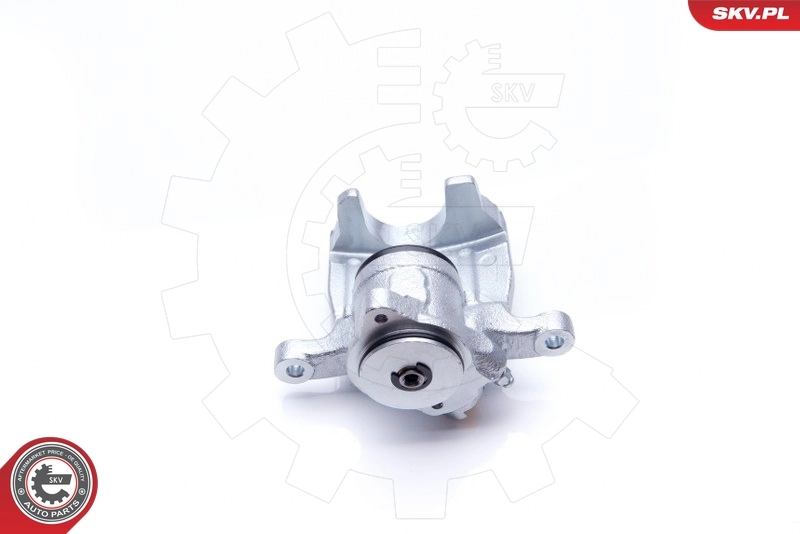 Brake Caliper 34SKV763