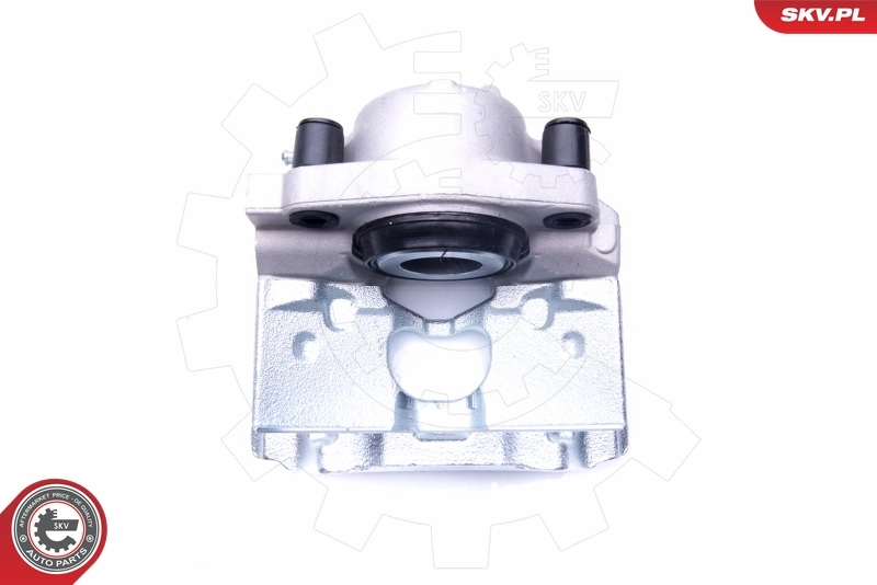 Brake Caliper 42SKV821