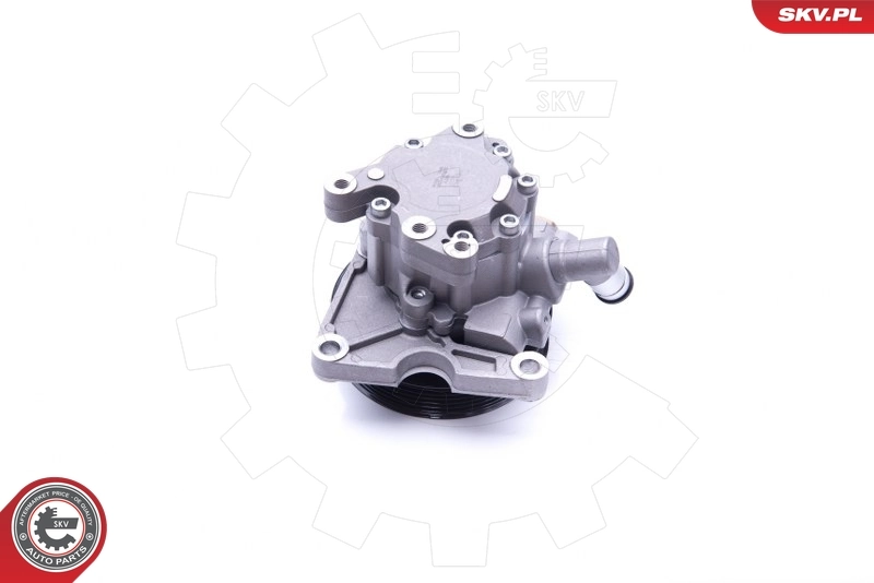 Hydraulic Pump, steering 10SKV271