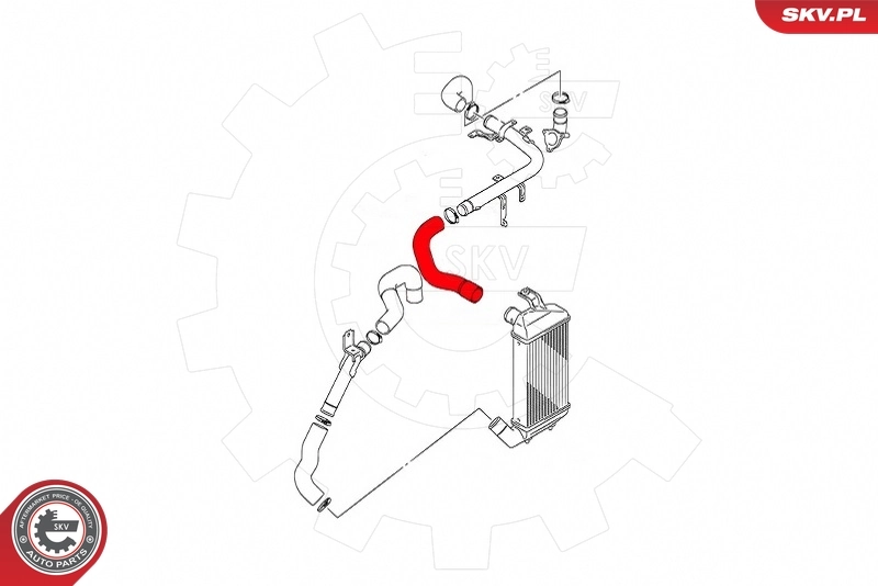 Charge Air Hose 43SKV294