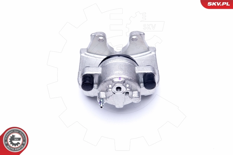 Brake Caliper 45SKV032