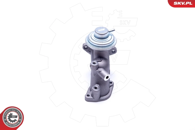EGR Valve 14SKV180