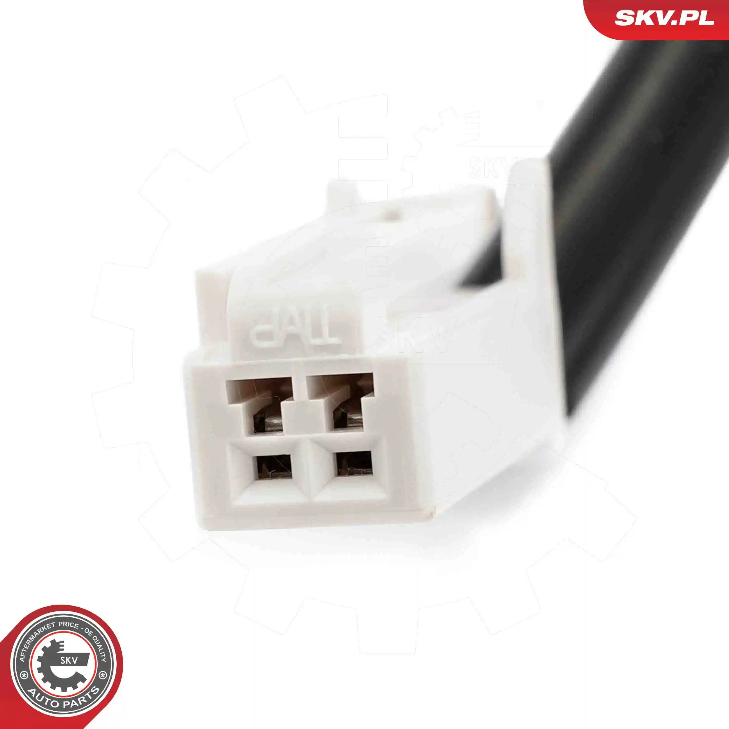 ESEN SKV 96SKV255 Switch, tailgate release